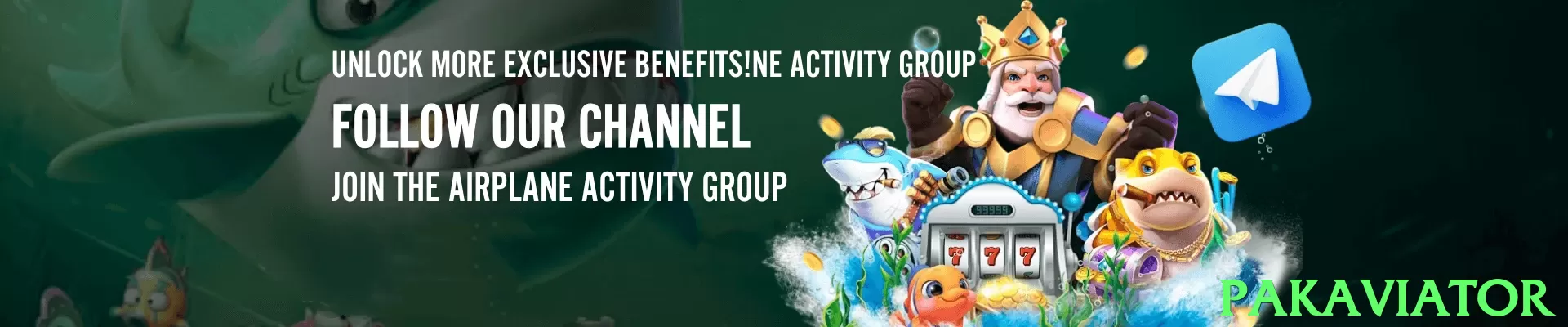 pakaviator Pakistan - 3